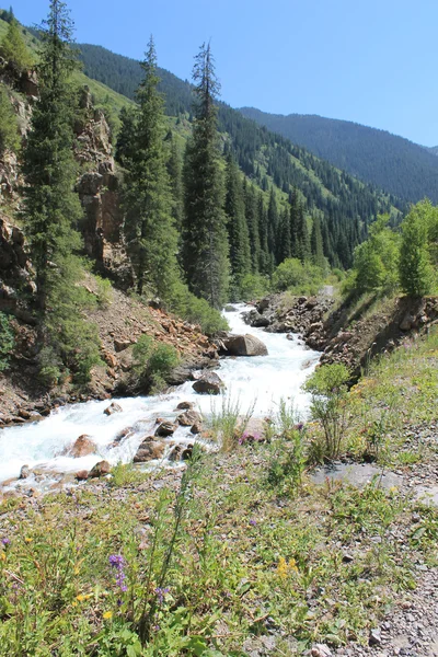 dağ, dağ Turgen geçit