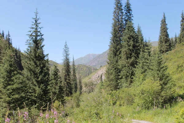 dağ, dağ Turgen geçit