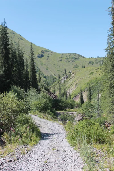 dağ, dağ Turgen geçit