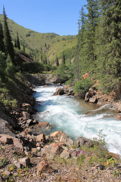 dağ, dağ Turgen geçit