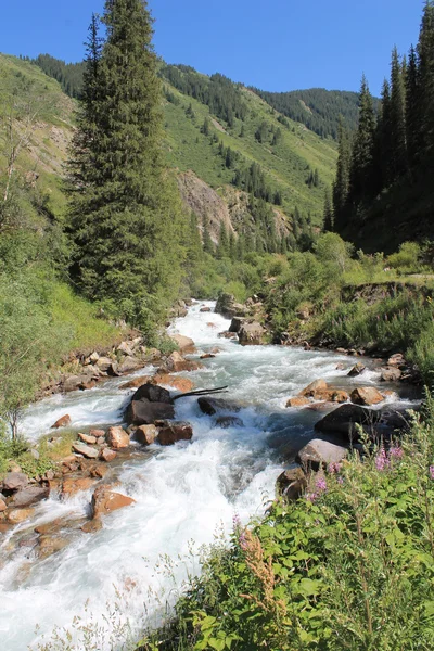 dağ, dağ Turgen geçit
