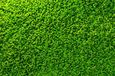 Yapay Yeşil Çimen Arkaplanı