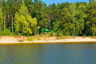 ahşap ev peeks bir nehir kıyısında çam ormanı dışında sıcak güneşli bir gün