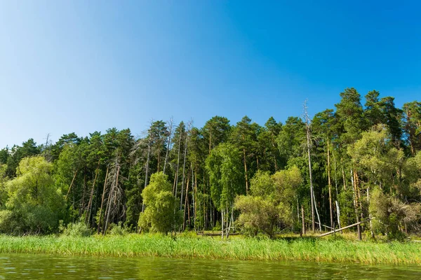 Krajobraz Rzeka Wołga — Zdjęcie stockowe