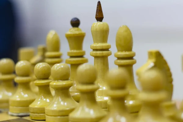 Chess figure, business concept strategy, leadership, team and success. — Stock Photo, Image