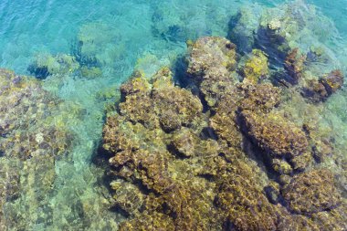 Deniz dibinde küçük taşları çakıl arka plan için kristal berraklığında su ile birlikte. Üstten Görünüm.