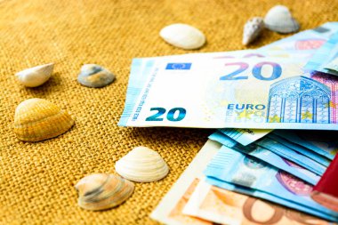 Euro banknot, Pasaportlar ve kabukları keten bir arka plan üzerinde. seyahat kavramı