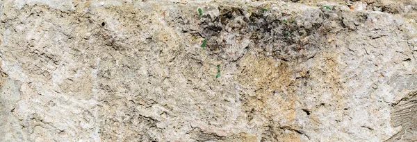 Texture d'un mur de ciment. structure de la pierre de grotte. teinté — Photo