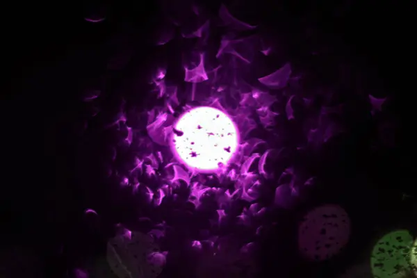 Абстрактный размытый ультрафиолетовый свет — стоковое фото