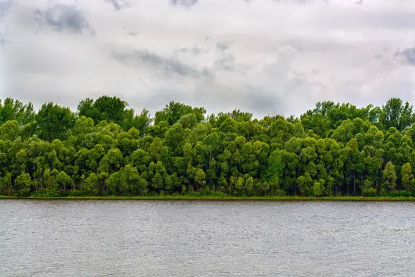 Minimalistyczne pejzaż poziomy z rzeki spokojny, zielony las i zachmurzone niebo. Jest to doskonały — Zdjęcie stockowe