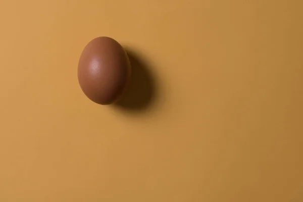 Minimalism. one egg in a corner image on orange background with copy space