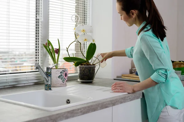 Un ama de casa joven vierte una orquídea de una taza en una olla en un alféizar de la ventana en la cocina de la casa — Foto de Stock