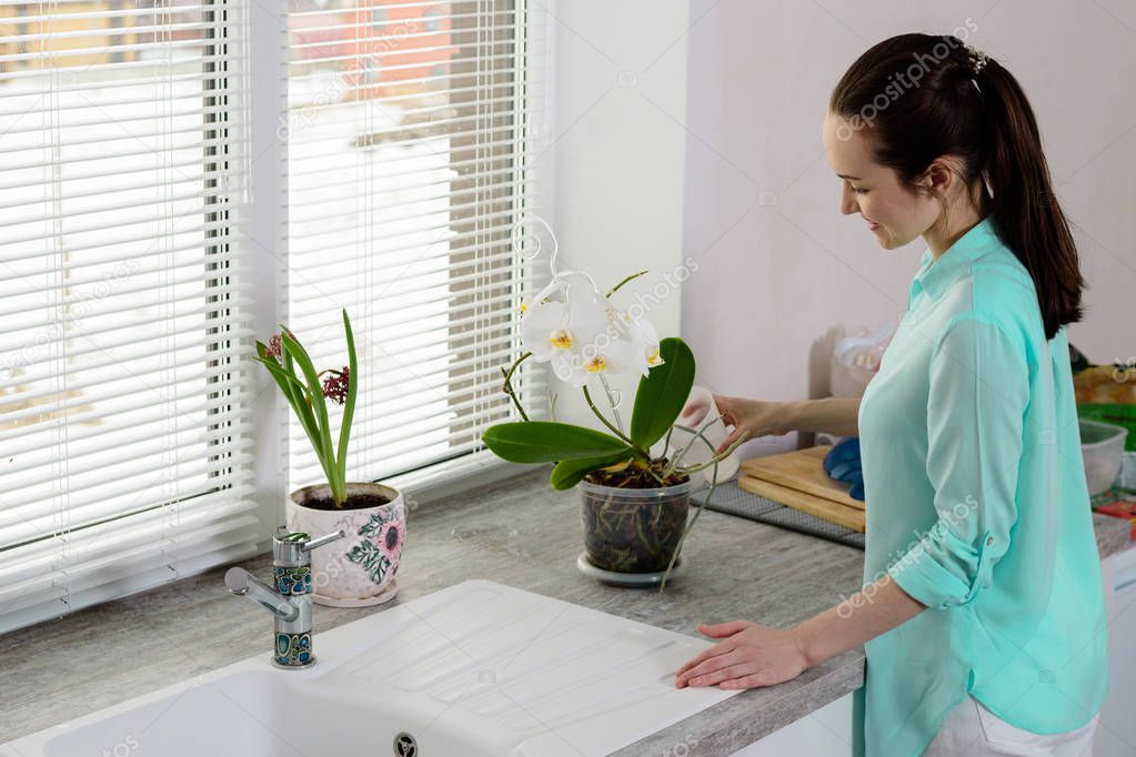 The brunette in a turquoise shirt pours an Orchid from a Cup in a transparent pot on the windowsill in the kitchen