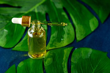 droper bottle with cosmetic yellow oil on green leaves on classic blue background clipart