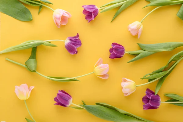 Bloemige achtergrond van roze en paarse tulpen op gele achtergrond — Stockfoto