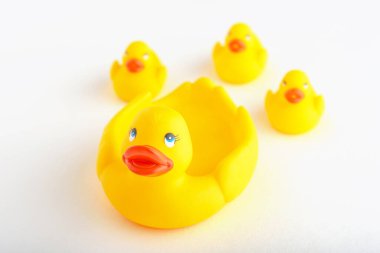 closeup family of yellow toy ducklings on white background