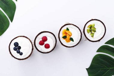 Meyve dolduruculu dondurma, beyaz arka planda hindistan cevizi kaselerinde yoğurt, modaya uygun tatlı konsepti