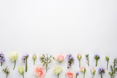 Gül goncalarının çiçek bileşimi, östoma, beyaz arkaplan üzerindeki limonyum cilt yüzeyi, kopyalama alanı, metin için boşluk, üst görünüm, düz yatış