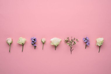 Pembe arkaplanda üst görünüm çiçek kompozisyonu, gül tomurcukları, östoma, sıra sıra limonyum infloresans, kopyalama alanı