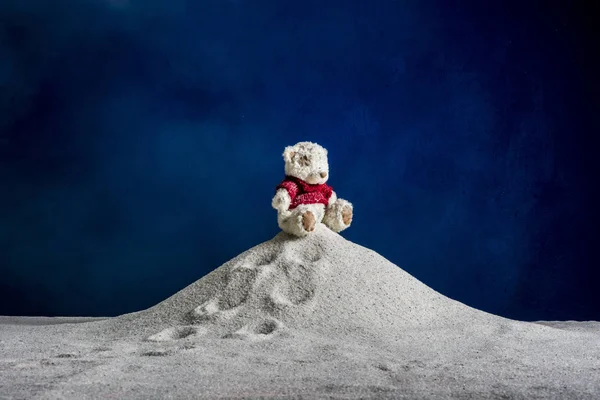 Mavi arka planda bir oyuncak ayı