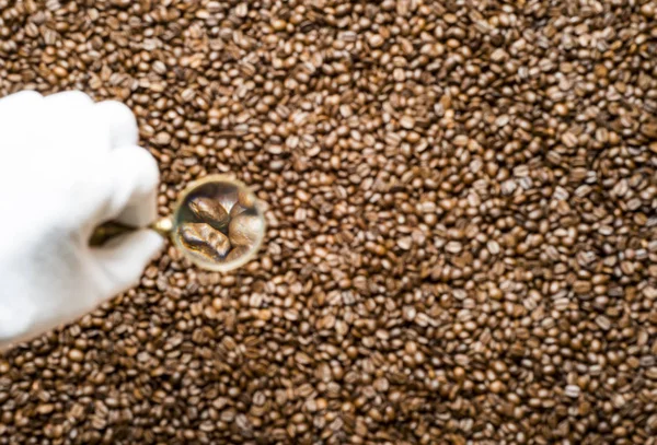 Beyaz eldivenli elinde Büyüteç kahve çekirdekleri bir arka planı tutar.