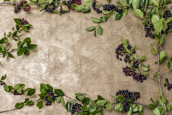 Deri arka plan üzerinde siyah meyveleri ile yeşil yaprakları