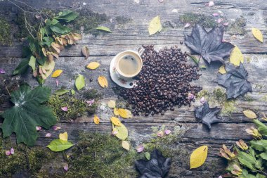  eski ağaç ve yaprak arka plan üzerinde kahve