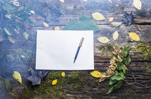 eski ağaç ve yaprak arka plan üzerinde beyaz kağıdın