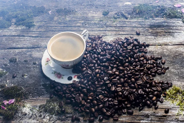  eski ağaç ve yaprak arka plan üzerinde kahve