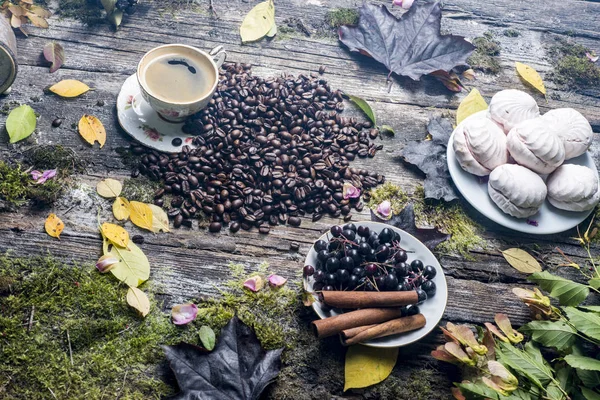  eski ağaç ve yaprak arka plan üzerinde kahve