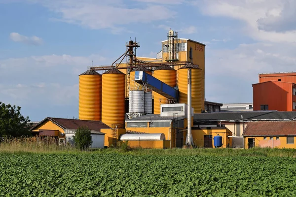 Silos et jeune ferme de tournesol au crépuscule — Photo