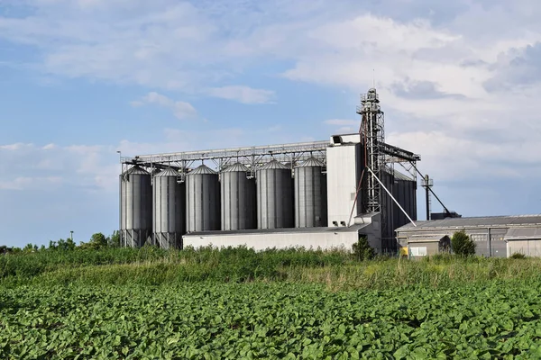 Silos et jeune ferme de tournesol — Photo