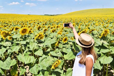 Bir kızla selfie alarak büyük bir ayçiçeği çiftliğinde hasır şapka