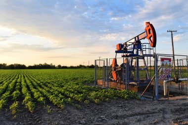 Petroleum pump in the middle of a farmland during dusk time clipart