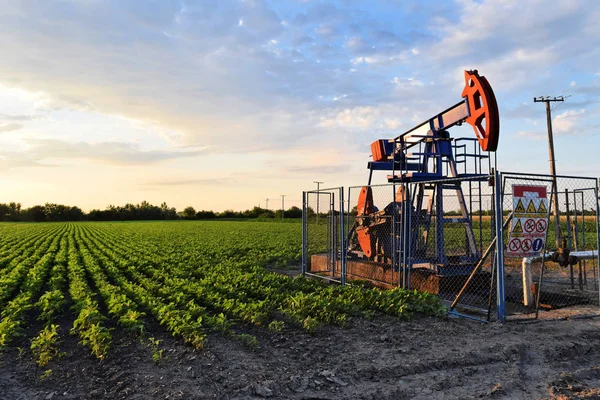 Bomba de petróleo en medio de una granja durante el atardecer —  Fotos de Stock