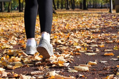 Sonbahar sırasında Park rekreasyon