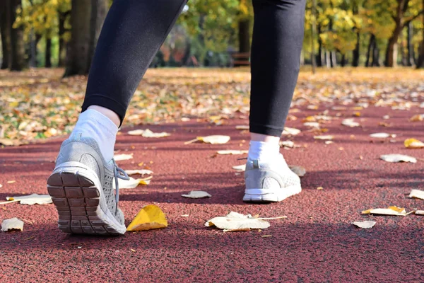 Recreation in the park during autumn