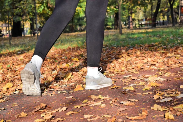 Recreation in the park during autumn