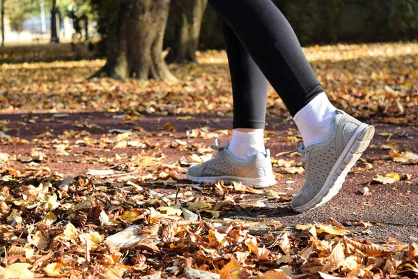 Recreation in the park during autumn