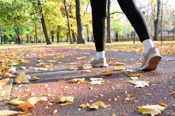 Recreation in the park during autumn