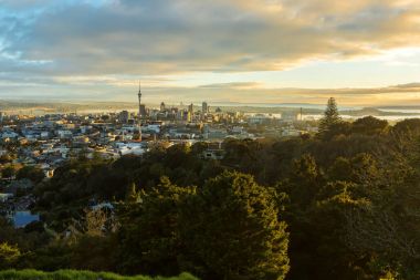 Auckland city, Yeni Zelanda