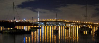 Auckland city bölgesindeki gece panoramik manzaralı  