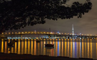 Auckland city by night   clipart