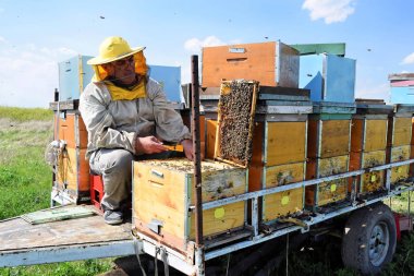 Arıcı ve onun hareket eden arı kovanı     