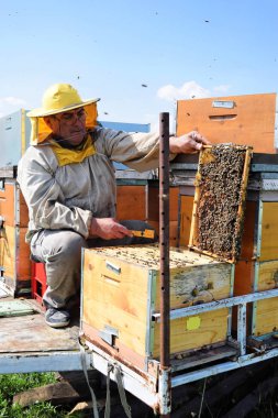 Arıcı ve onun hareket eden arı kovanı     