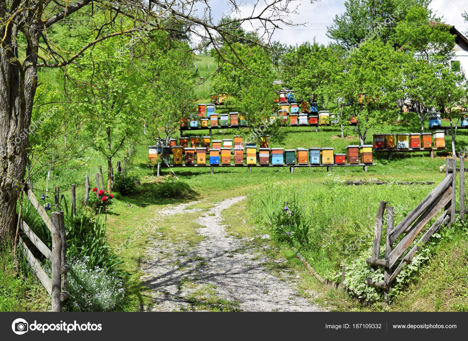 Colmenas Patio Campo — Fotos de Stock © zvonce #187109332