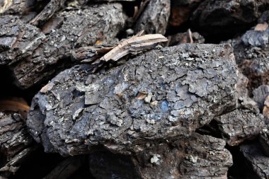 Bir yığın kuru linyit kömürü kış boyunca ısıtılmaya hazır.