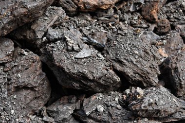 Bir yığın kuru linyit kömürü kış boyunca ısıtılmaya hazır.