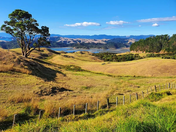 Paisagem Coromandel Nova Zelândia — Fotografia de Stock