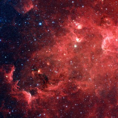 The North America nebula in the constellation Cygnus clipart
